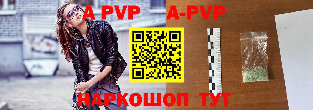 Альфа ПВП СК КРИС Гудермес