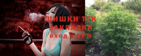 сатива Белокуриха