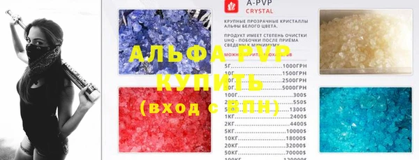 сатива Белокуриха