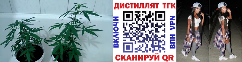 кракен ссылки  что такое наркотик  Гудермес  ТГК Wax 