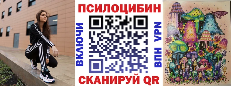 blacksprut ССЫЛКА  как найти закладки  Гудермес  Галлюциногенные грибы прущие грибы 