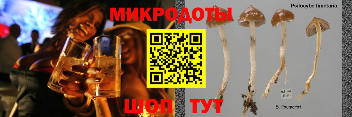 Галлюциногенные грибы Psilocybe  Псилоцибиновые грибы мухоморы  где можно купить наркотик  Гудермес 