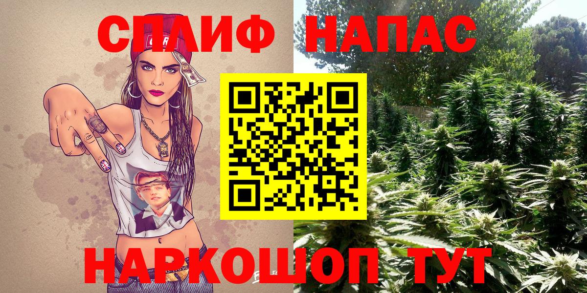 Бошки Шишки план  Гудермес  Конопля AK-47 